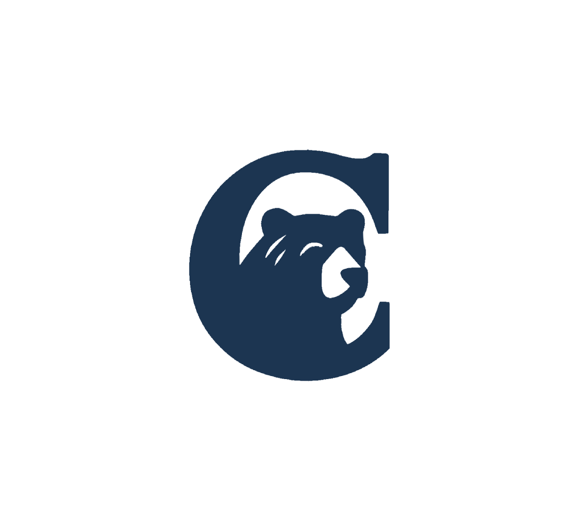 Cub Media